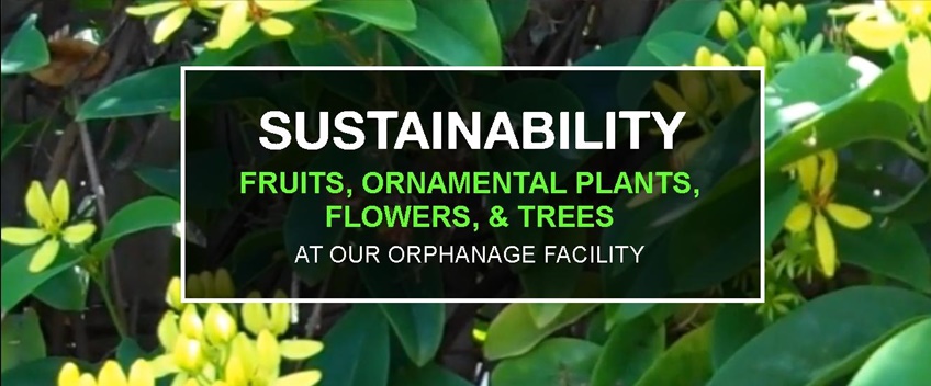Sustainability: food production & landscaping at CEA