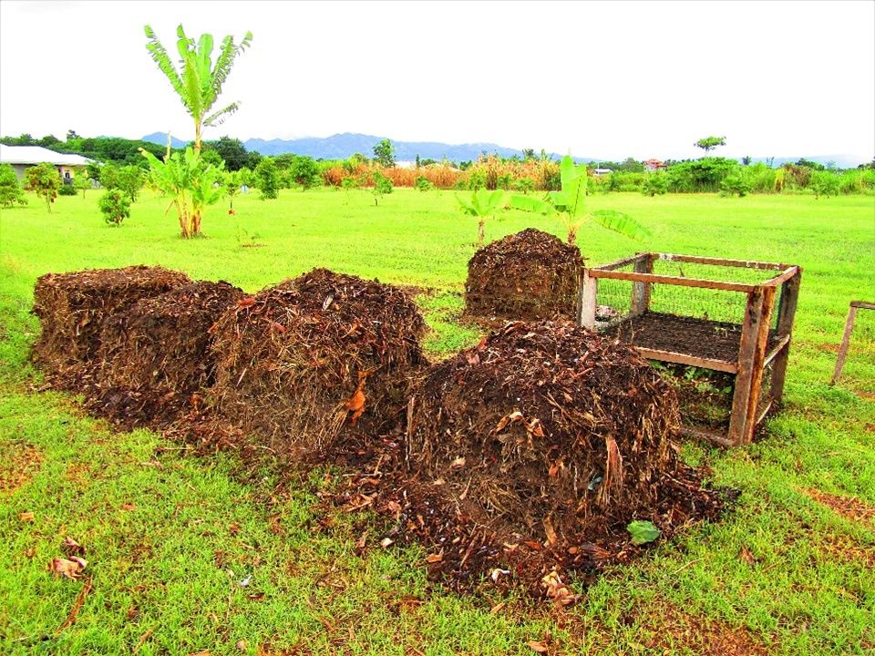 Aerobic composting at CEA