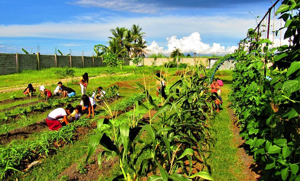 CEA sustainability garden