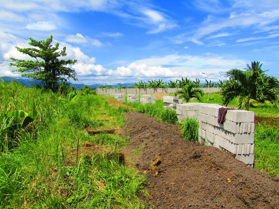 concrete blocks for perimeter wall