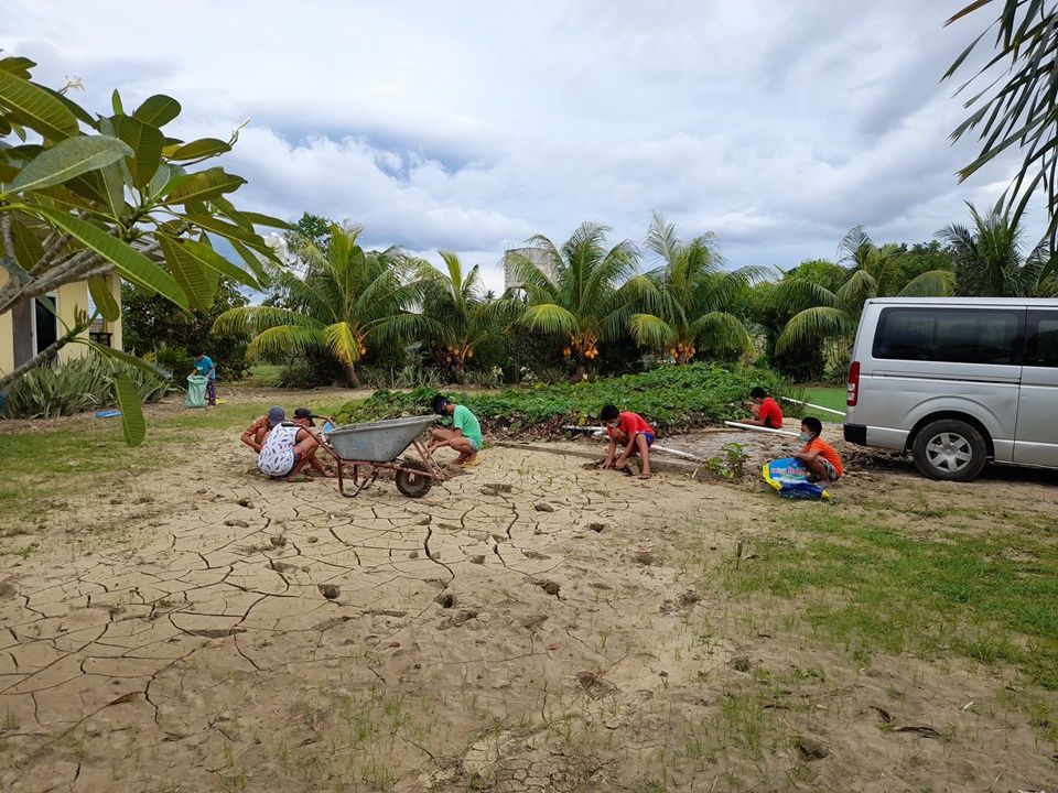 Boys gardening after flood