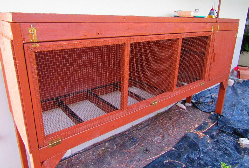 Poultry brooder at CEA - Mar 2023