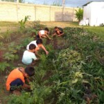 House parent Renante Dela Torre teaching the CEA children how to cultivate the soil