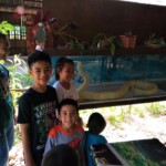 Wide smiles on the faces of the children