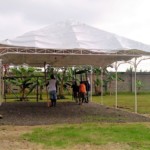 work on the temporary church meeting tent 3
