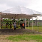 work on the temporary church meeting tent 3